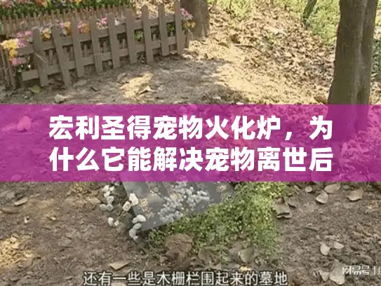 宏利圣得宠物火化炉，为什么它能解决宠物离世后的最大难题？
