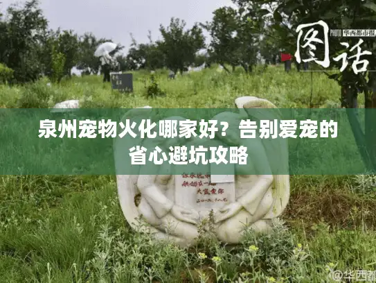 泉州宠物火化哪家好？告别爱宠的省心避坑攻略