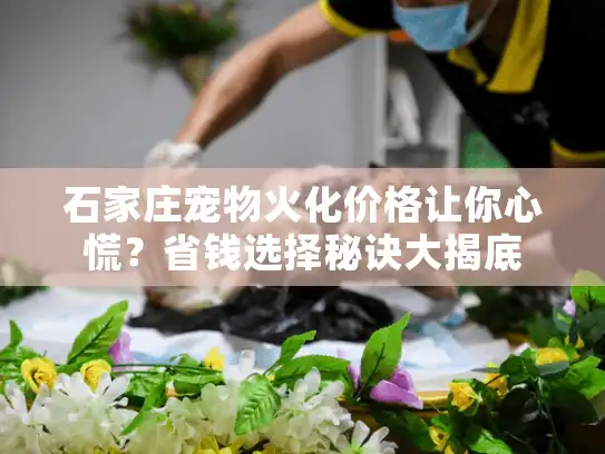 石家庄宠物火化价格让你心慌？省钱选择秘诀大揭底