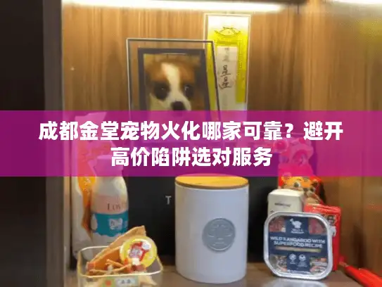 成都金堂宠物火化哪家可靠？避开高价陷阱选对服务