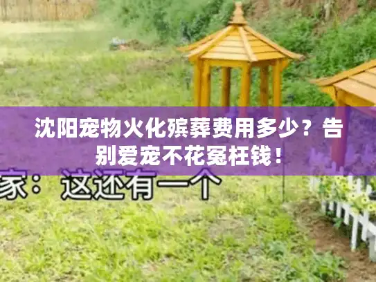 沈阳宠物火化殡葬费用多少？告别爱宠不花冤枉钱！