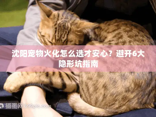 沈阳宠物火化怎么选才安心？避开6大隐形坑指南