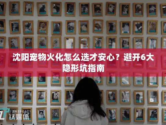 沈阳宠物火化怎么选才安心？避开6大隐形坑指南