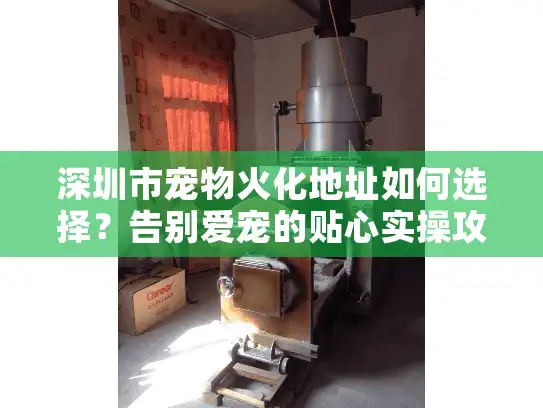 深圳市宠物火化地址如何选择？告别爱宠的贴心实操攻略
