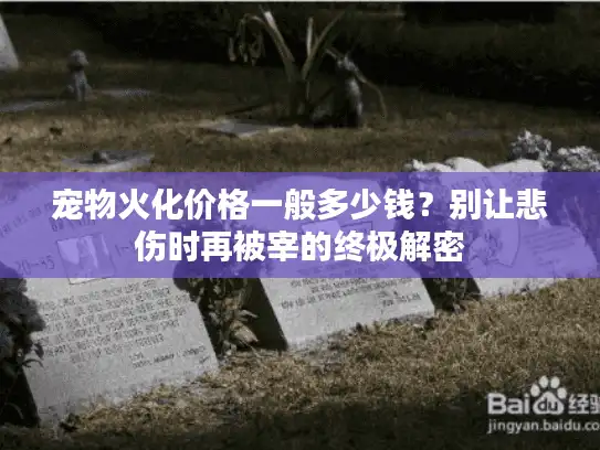 宠物火化价格一般多少钱？别让悲伤时再被宰的终极解密