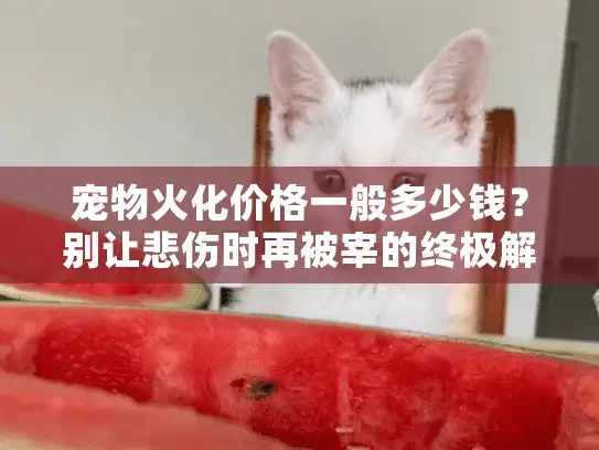 宠物火化价格一般多少钱？别让悲伤时再被宰的终极解密