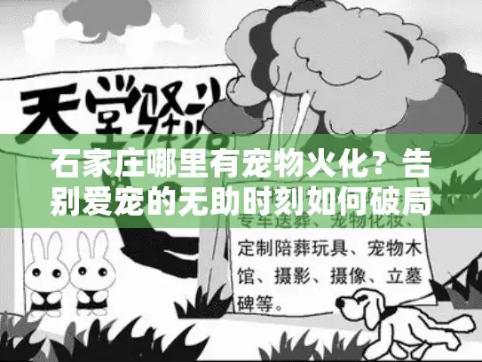 石家庄哪里有宠物火化？告别爱宠的无助时刻如何破局
