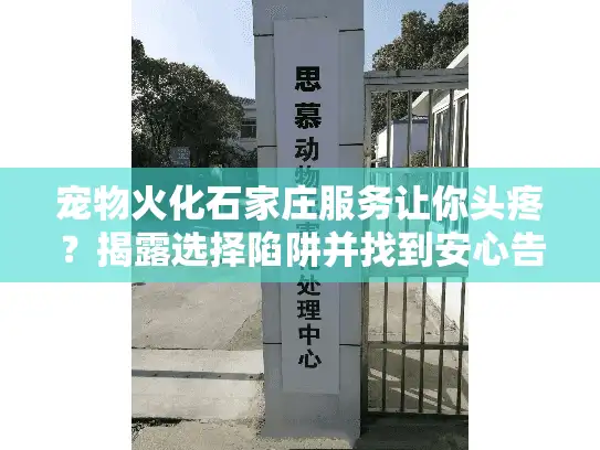 宠物火化石家庄服务让你头疼？揭露选择陷阱并找到安心告别之道！
