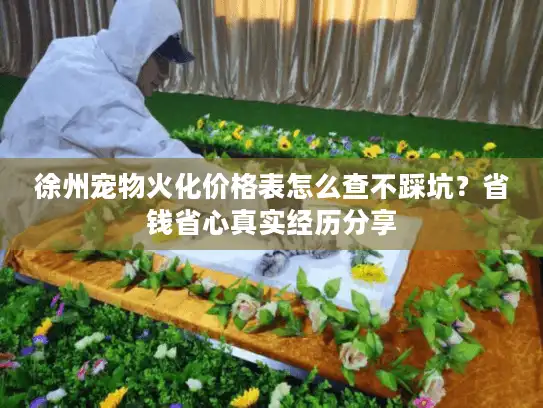 徐州宠物火化价格表怎么查不踩坑？省钱省心真实经历分享
