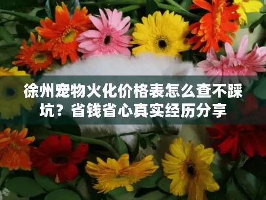徐州宠物火化价格表怎么查不踩坑？省钱省心真实经历分享