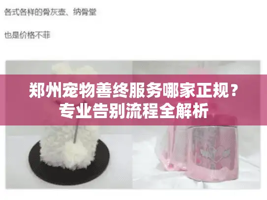 郑州宠物善终服务哪家正规？专业告别流程全解析