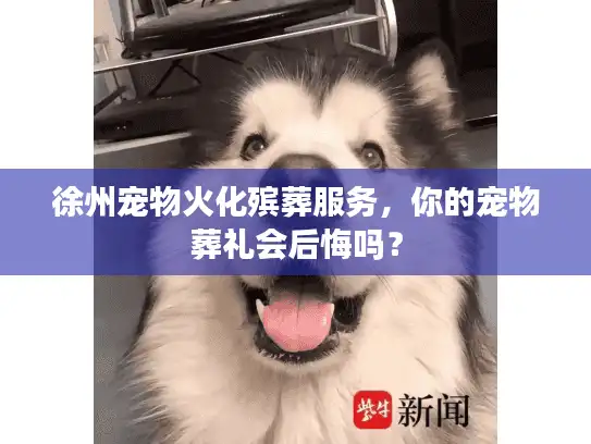 徐州宠物火化殡葬服务，你的宠物葬礼会后悔吗？