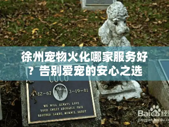 徐州宠物火化哪家服务好？告别爱宠的安心之选
