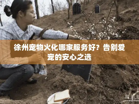 徐州宠物火化哪家服务好？告别爱宠的安心之选