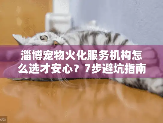 淄博宠物火化服务机构怎么选才安心？7步避坑指南