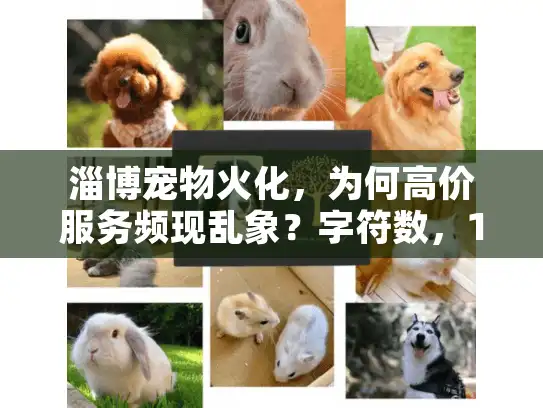 淄博宠物火化，为何高价服务频现乱象？字符数，16，核心关键词前置，长尾词隐含）