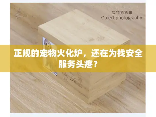正规的宠物火化炉，还在为找安全服务头疼？
