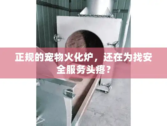 正规的宠物火化炉，还在为找安全服务头疼？