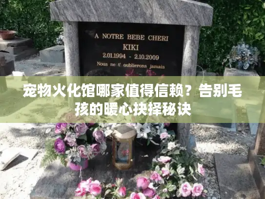 宠物火化馆哪家值得信赖？告别毛孩的暖心抉择秘诀