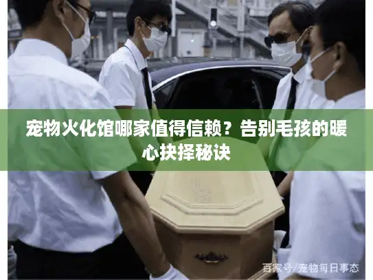 宠物火化馆哪家值得信赖？告别毛孩的暖心抉择秘诀