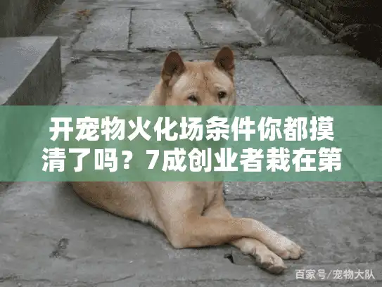 开宠物火化场条件你都摸清了吗？7成创业者栽在第三步