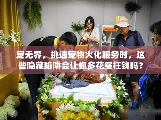 宠无界，挑选宠物火化服务时，这些隐藏陷阱会让你多花冤枉钱吗？
