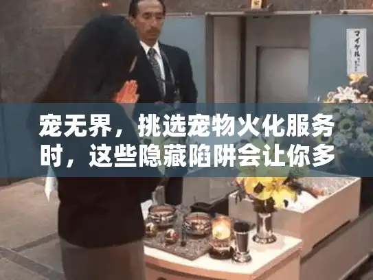 宠无界，挑选宠物火化服务时，这些隐藏陷阱会让你多花冤枉钱吗？