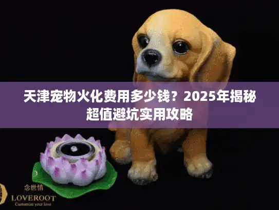 天津宠物火化费用多少钱？2025年揭秘超值避坑实用攻略