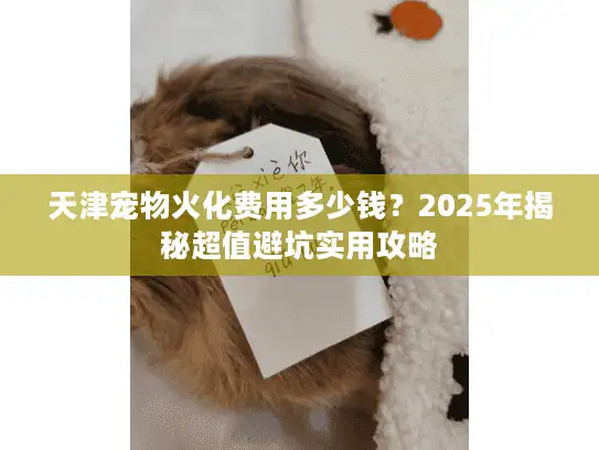 天津宠物火化费用多少钱？2025年揭秘超值避坑实用攻略