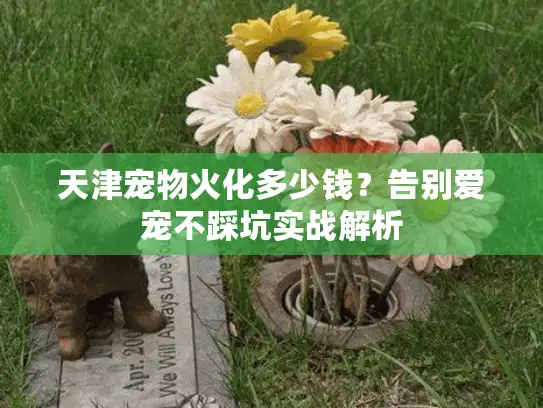 天津宠物火化多少钱？告别爱宠不踩坑实战解析