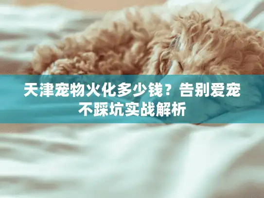 天津宠物火化多少钱？告别爱宠不踩坑实战解析