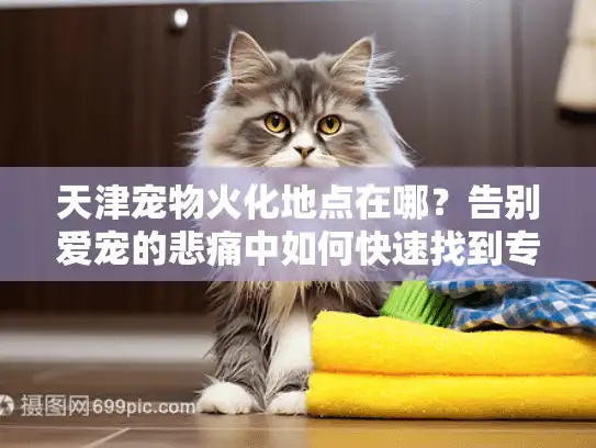 天津宠物火化地点在哪？告别爱宠的悲痛中如何快速找到专业服务