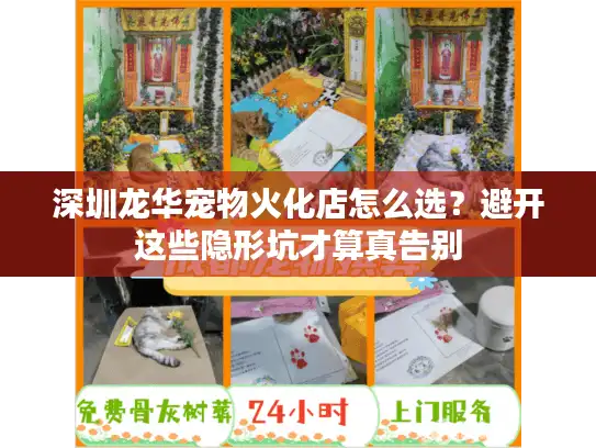 深圳龙华宠物火化店怎么选？避开这些隐形坑才算真告别