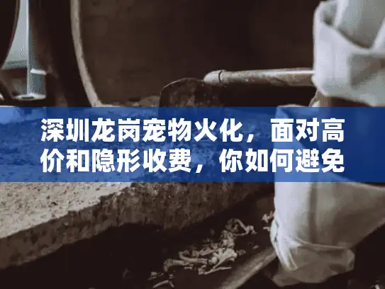 深圳龙岗宠物火化，面对高价和隐形收费，你如何避免伤心又伤钱？