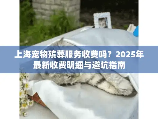 上海宠物殡葬服务收费吗？2025年最新收费明细与避坑指南