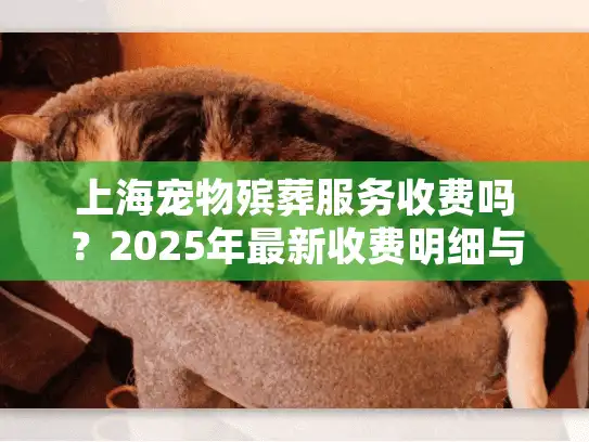 上海宠物殡葬服务收费吗？2025年最新收费明细与避坑指南