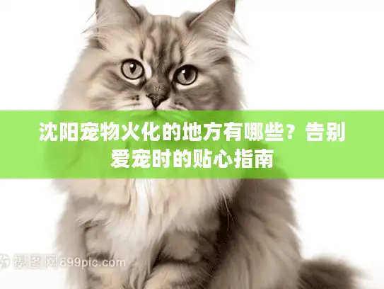 沈阳宠物火化的地方有哪些？告别爱宠时的贴心指南
