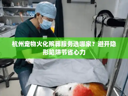 杭州宠物火化殡葬服务选哪家？避开隐形陷阱节省心力