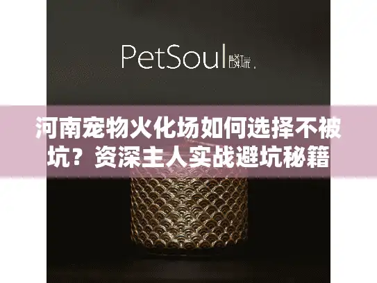 河南宠物火化场如何选择不被坑？资深主人实战避坑秘籍