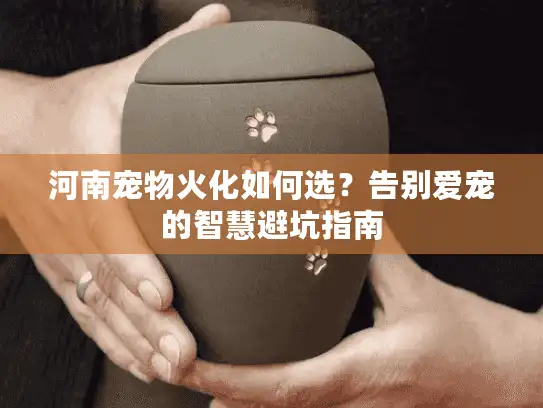 河南宠物火化如何选？告别爱宠的智慧避坑指南