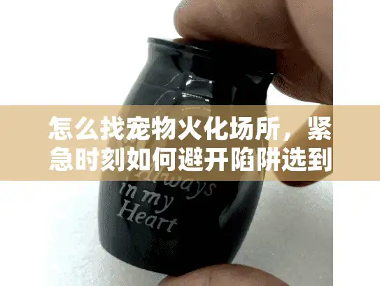 怎么找宠物火化场所，紧急时刻如何避开陷阱选到靠谱服务
