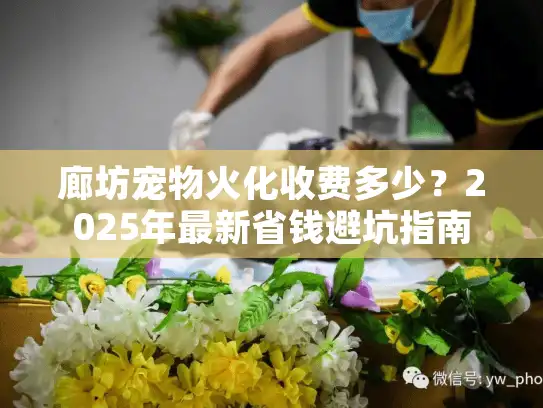 廊坊宠物火化收费多少？2025年最新省钱避坑指南