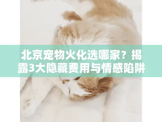 北京宠物火化选哪家？揭露3大隐藏费用与情感陷阱