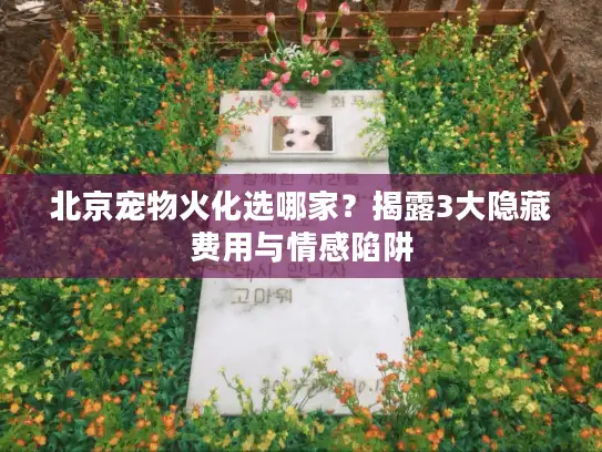 北京宠物火化选哪家？揭露3大隐藏费用与情感陷阱