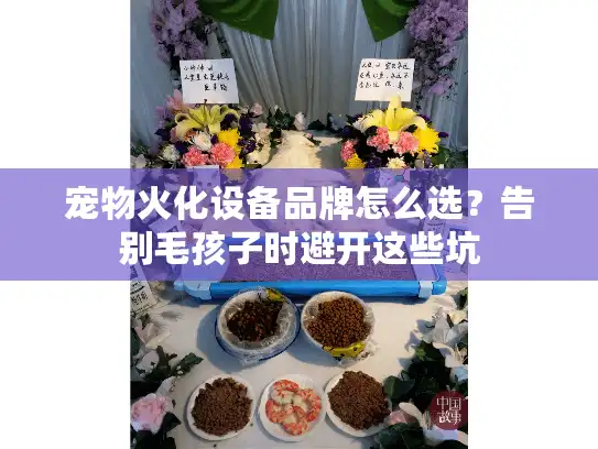 宠物火化设备品牌怎么选？告别毛孩子时避开这些坑