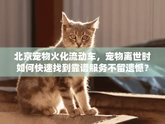 北京宠物火化流动车，宠物离世时如何快速找到靠谱服务不留遗憾？