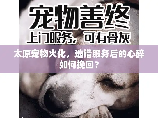 太原宠物火化，选错服务后的心碎如何挽回？
