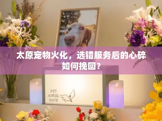 太原宠物火化，选错服务后的心碎如何挽回？