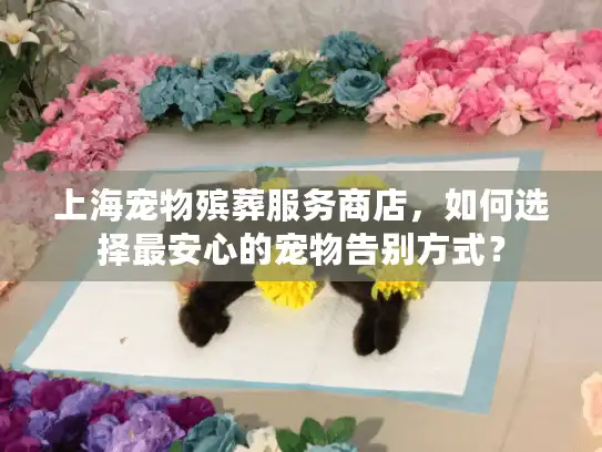 上海宠物殡葬服务商店，如何选择最安心的宠物告别方式？