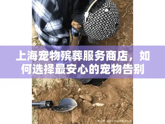 上海宠物殡葬服务商店，如何选择最安心的宠物告别方式？